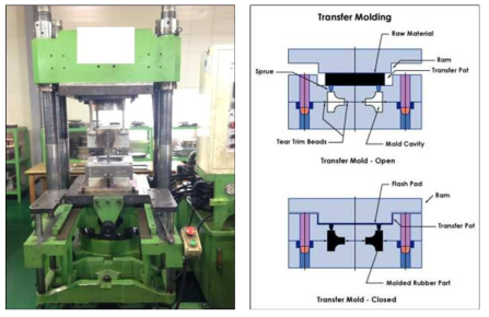 TRANSFER MOLD