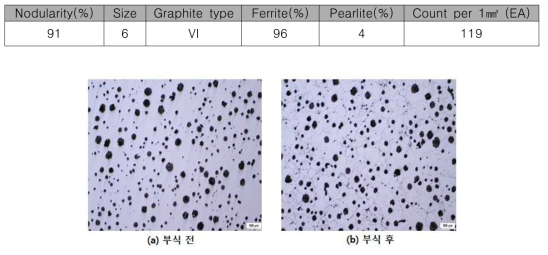 Bearing bracket 조직 검사 결과 및 현미경 조직