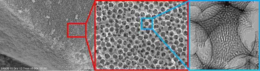 메조-매크로기공이 형성된 촉매 지지체의 SEM & TEM 사진