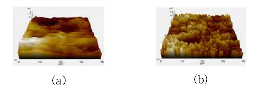 (a) Brown oxide 전, (b) Brown oxide 후 CCL 표면의 3D 형상