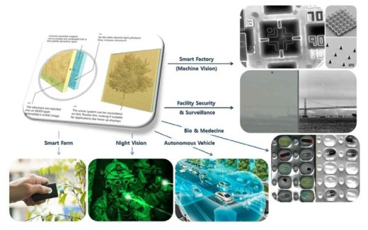 적외선 감지 OLED를 이용한 제품 응용군