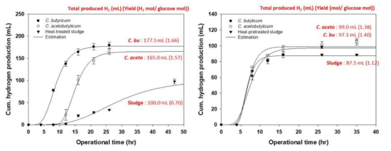 (A) 10.9 g/L와 (B) 6.2 g/L의 당농도에서 단일 및 혼합균주의 수소가스 생산 경향