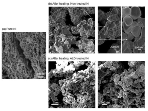 FE-SEM images of (a) as-synthesized pure Ni, (b-c) aged Ni after heating at 700 °C for 2 hrs in 5 vol.% H2 (H2/N2) gas environment; (b) no ALD treated Ni and (c) 1 nm YSZ deposited by ALD on Ni nanostructure