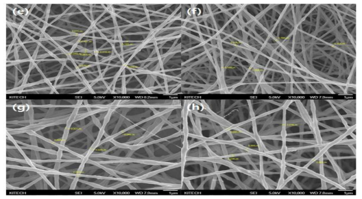전기 방사하여 SEM으로 관찰한 PEO용액의 농도 별 morphology; (e) 10, (f) 11, (g) 12 (h) 13%