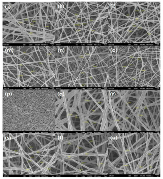 PEO10~13% 용액을 전기 방사하여 SEM으로 관찰한 morphology; (j) PEO10% 10, (k) PEO10% 15, (l) PEO10% 20, (m) PEO11% 10, (n) PEO11% 15, (o) PEO11% 20, (p) PEO12% 10, (g) PEO12% 15, (r) PEO12% 20, (s) PEO13% 10, (t) PEO13% 15, (u) PEO13% 20cm