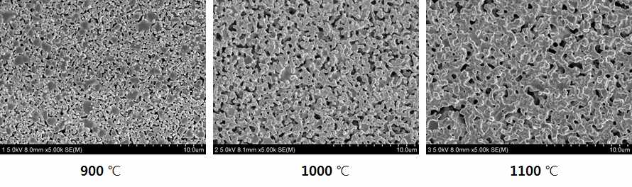 NiO+YSZ의 SEM이미지, sintered at 900 ℃, 1000 ℃, 1100℃ for 30min