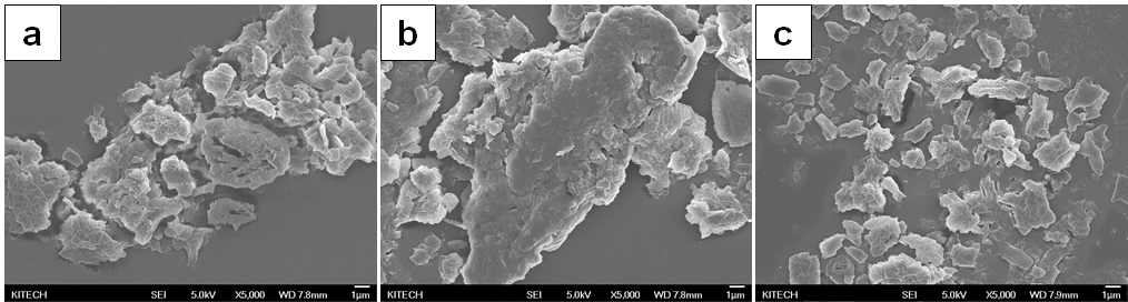 AGF20(a), AGF80(b), Ag/Ni(c) 플레이크의 SEM image