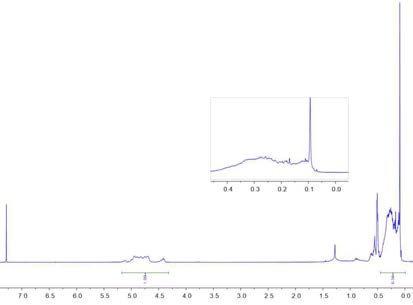 제조된 CO2-PSZ3의 1H-NMR 측정 결과