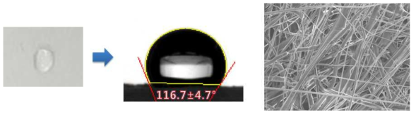 표면 코팅전 필터 여재 접촉각 & SEM 이미지