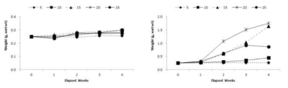 Inorganic nutrient absorption of sea mustard (Undaria ponnatifida) and Graculariopsis chorda