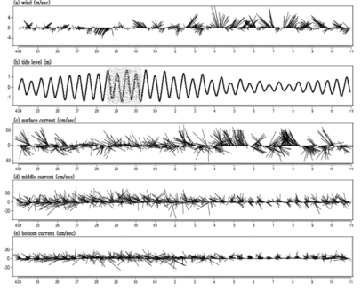 Wind, tide level, and observed current vectors at each layer in the study area from 24 April to 10 May