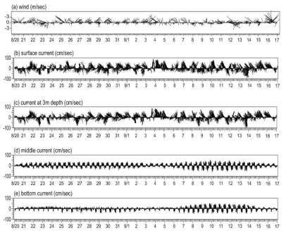 Wind, tide level, and observed current vectors at each layer in the study area from 20 August to 16 September