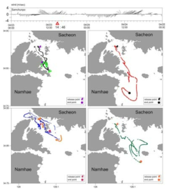 Lagrangian trajectories of the buoys in Gangjin bay