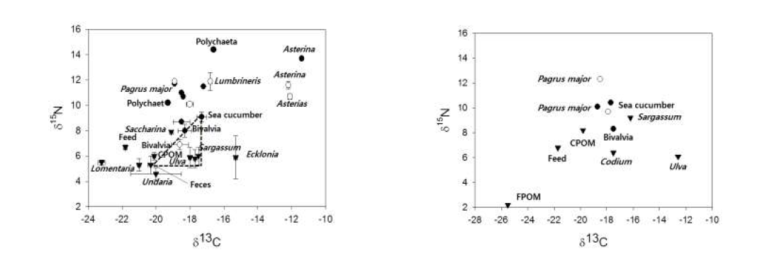 Dual isotope plot of δ13C and δ15N values of fish, co-cultured and other macroinvertebrates and organic matters(triangle black) collected from the IMTA(circle black) and fish-sea cucumber farm(circle white) in February(left) and August(right) 2017