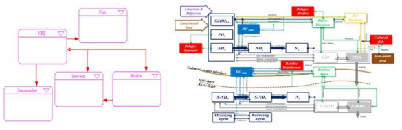 Material cycle(left) and schematic diagram(right) of ecophysiology and biogeochemical process in IMTA