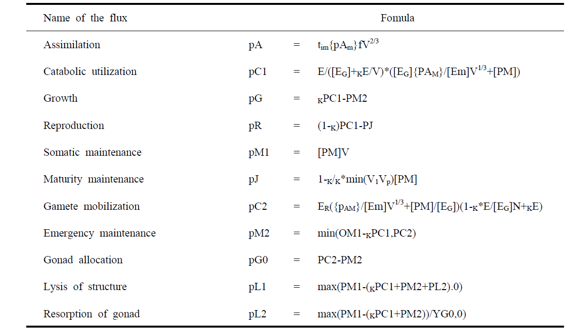 The basic formula of the creature in the DEB model