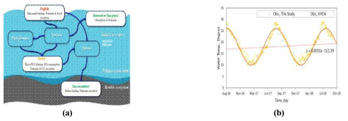 Configuration of carrying capacity model of IMTA(a) and representation of seawater temperature(b)