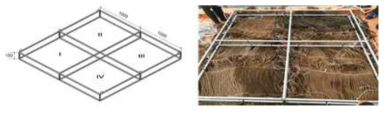 Hideout material of the frame for create habitat of Sea cucumber (Ⅰ: Cocoon bed, Ⅱ: Original fish shelter, Ⅲ: Oyster shell, Ⅳ: Broken tile)