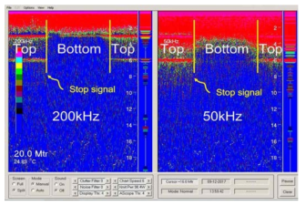 Echogram of acoustic sensor (Analysis of the density of the fishes with depth in the feeding of red seabream)