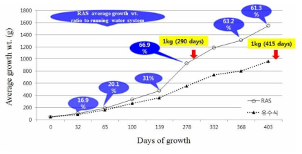 Growth performance of average weight in olive flounder according to the culture systems in Geoje