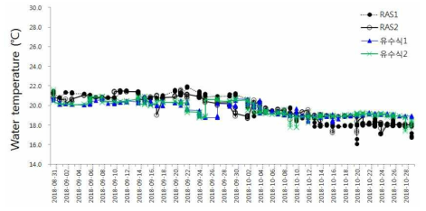 Water temperature variations according to the culture systems during the site application experimental period