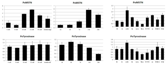 Expression of PoMSTN and PoTyr during developmental stage in normal tissues of P. olivaceus