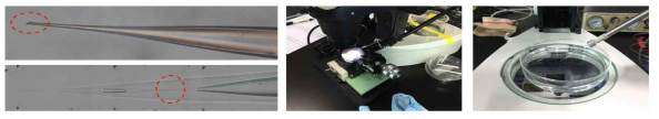 Development of microneedles with anti-backflow system (MABS)