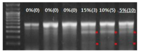 T7E1 assay of zebrafish Tyrosinase gene in different contents of gene edited embryo