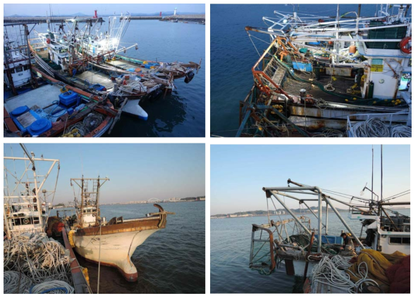 Survey of offshore dredge fishing vessel