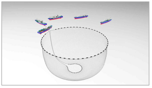 Schematic drawing of fishing method(purseiner)