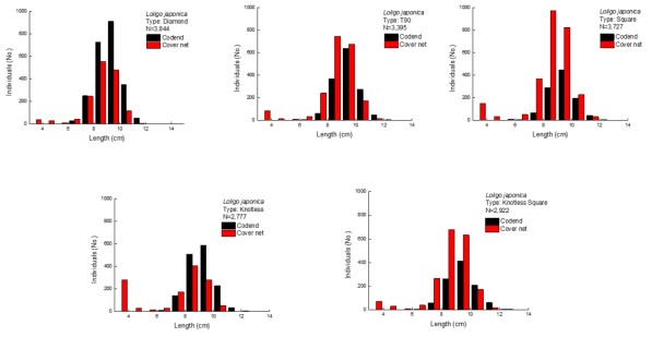 Length distribution of Loligo squid (Loligo japonica)