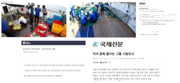 TV documentary recording with MBC and press release concerned with bycatch reduction research