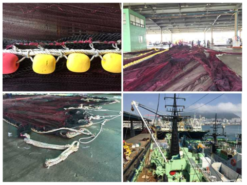 Field investigation for purse seine