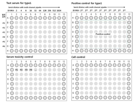 96 well culture plate의 배열예시