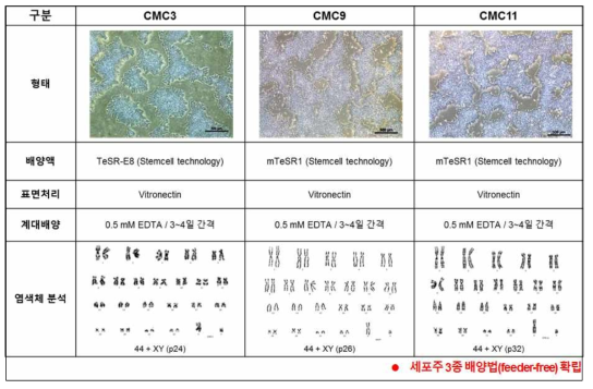 제공받은 3종의 세포주별 유지배양 조건 확립