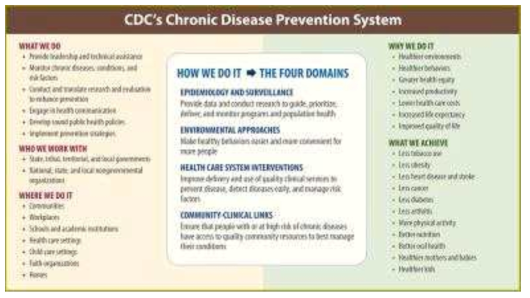 CDC 만성질환 예방 시스템