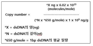 DNA copy number calculation formula