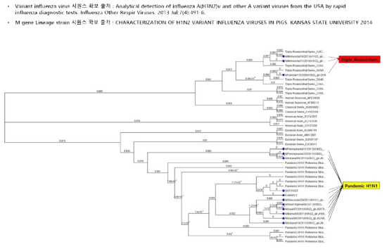 Phylogenetic tree analysis of M gene of variant swine influenza virus(Blue dot : The viruses mentioned in Table 20)