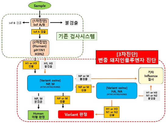 Diagnosis guide system of variant swine influenza virus