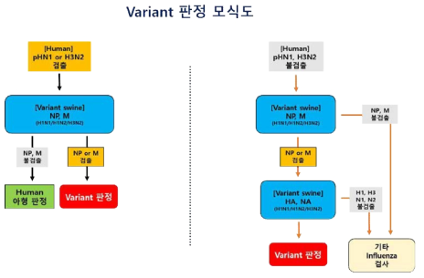 Variant determination scheme of variant swine influenza virus