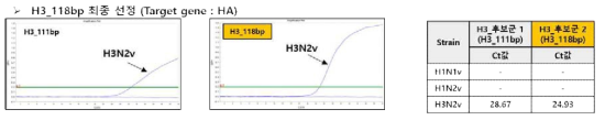 H3 candidate primer / probe performance comparison_confirmation of amplification