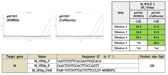 M_105bp candidate primer / probe_sensitivity & final selection primer / probe sequence information