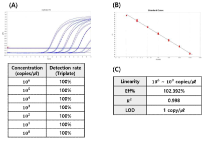 Analytical sensitivity of developed H3 diagnostic kit. (A) Amplification plot & Detection Rate by Dilution Concentration. (B) Standard curve. (C) Performance analyzed through standard curve