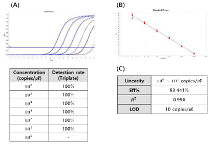 Analytical sensitivity of developed N2 diagnostic kit. (A) Amplification plot & Detection Rate by Dilution Concentration. (B) Standard curve. (C) Performance analyzed through standard curve