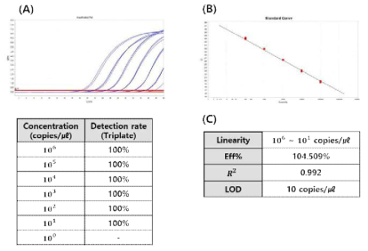 NP analytical sensitivity of developed NP/M diagnostic kit. (A) Amplification plot & Detection Rate by Dilution Concentration. (B) Standard curve. (C) Performance analyzed through standard curve