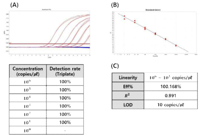 M analytical sensitivity of developed NP/M diagnostic kit. (A) Amplification plot & Detection Rate by Dilution Concentration. (B) Standard curve. (C) Performance analyzed through standard curve