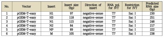 Identification of plasmid orientation and restriction enzyme information for in vitro transcription