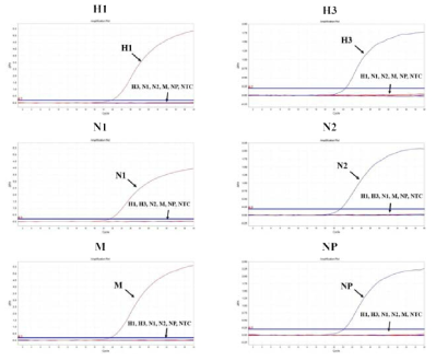 Cross-contamination test results for the RNA-positive standard materials of the developed diagnostic method