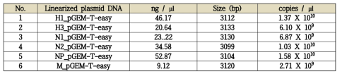 Linearized plasmid DNA copy number of positive standard template in the developed diagnostic method