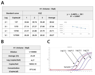 Conversion result of copy number of H1 RNA positive standard material (A. H1 linearized plasmid DNA standard curve. B. H1 RNA positive standard material copy number. C. Amplification of H1 linearized plasmid DNA and RNA positive standard material)